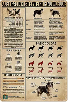 Pes Vedomosti Kovov Cín Prihlásiť Austrálsky Ovčiak Anatómie Farba Fakty Plagát Farmy Pet Dekorácie Doska na opasok 8x12 Cm